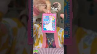 Miniature Barbie Bag 200 Thousand | Asakecil