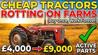 12 Cheap Tractors 'Rotting' on Australian Farms (Buy Once, Work Forever)