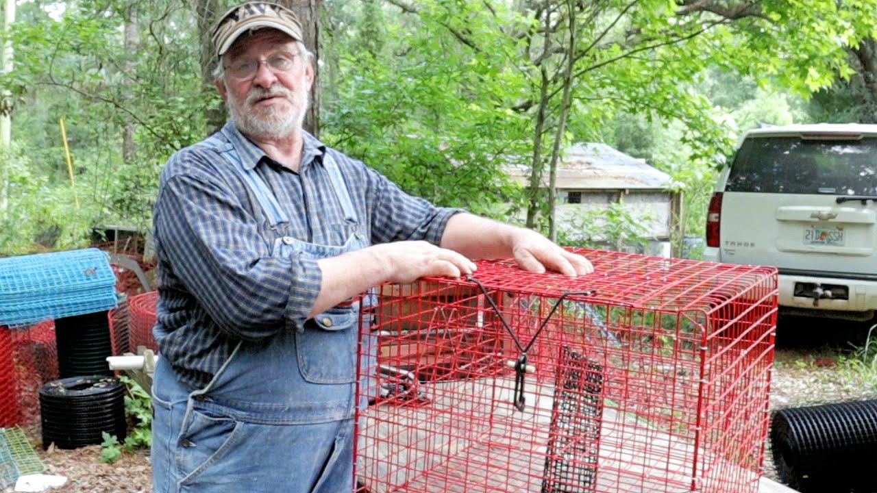 ЛУЧШИЙ СОКРЫТЫЙ СЕКРЕТ Луизианы по БЫСТРОЙ ловле крабов!