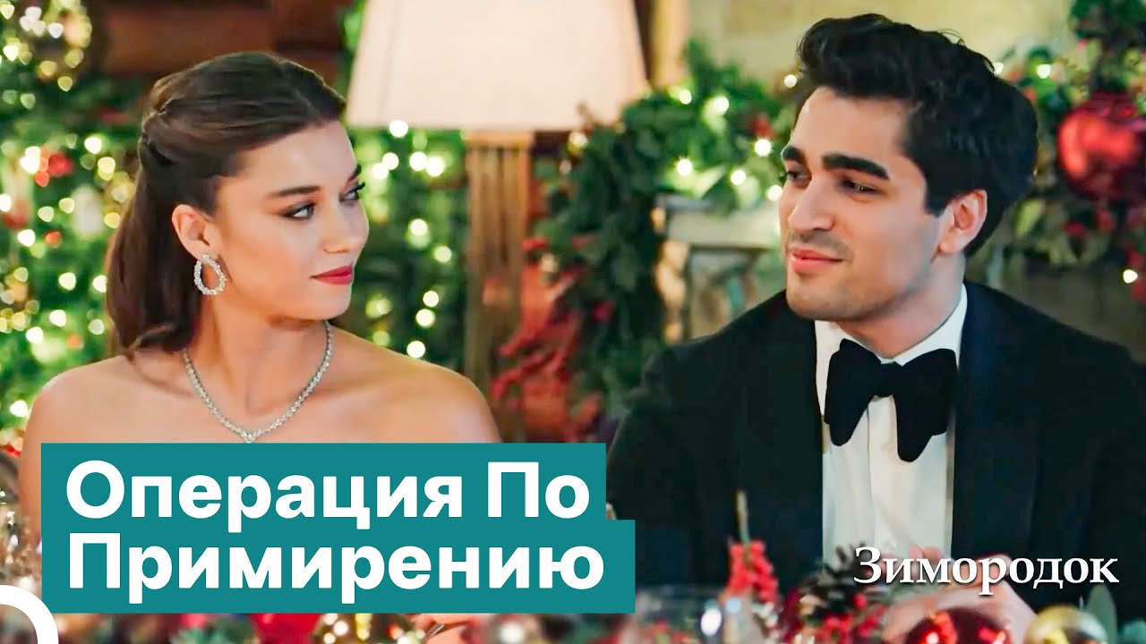 Если Мы Будем Вместе, Мы Решим Любую Проблему | Зимородок