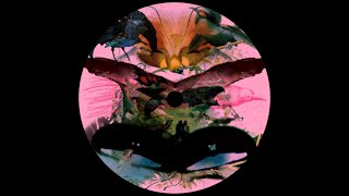 Leon Vynehall - Paradisea