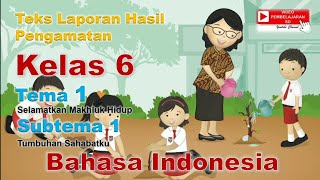 Bahasa Indonesia Kelas 6 Tema 1 Subtema 1 - Teks Laporan Hasil Pengamatan