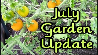 July Garden Update ~ Backyard Veggie Garden 2017