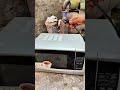 Fix your microwave without spending any money