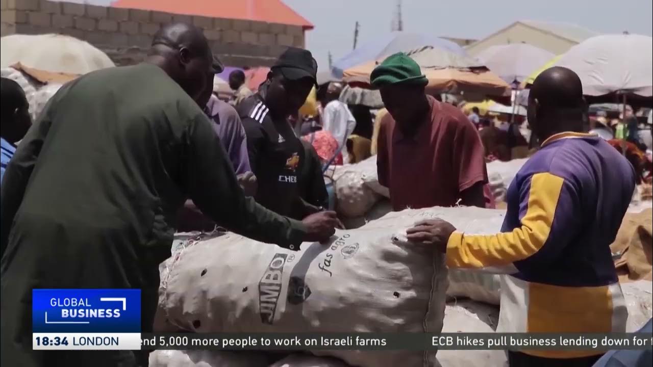 Experts call for financial aid to Nigerian farmers amid rising costs