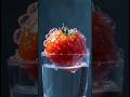 “From Tomato to Sprouts in Water 😍 | Viral Plant Growth Video”