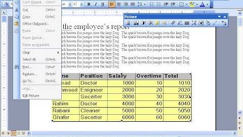 MS Word 2003 Part 6) Edit Menu in Dari / Farsi Omar Akbari