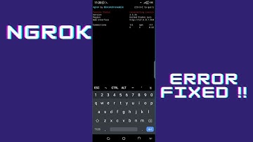How to fix ngrok reconnecting error in termux?