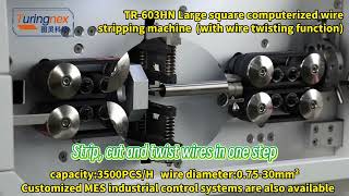 Say goodbye to manual stripping of thick wires! A revolution in wire harness factory efficiency!