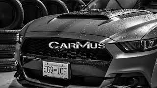 BIGARDI-Baby stop (REMIX)