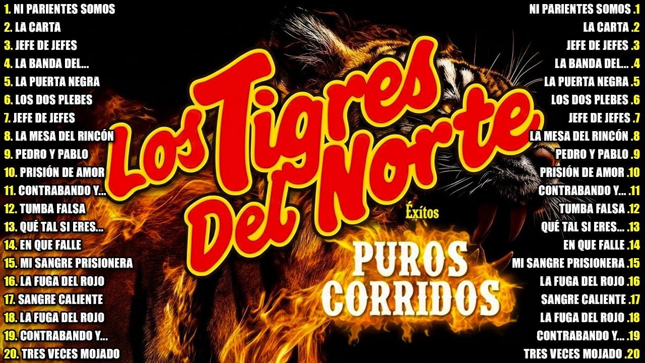 LOS TIGRES DEL NORTE MIX 2026 🎶 CORRIDOS Y NORTEÑAS VIEJITAS CANCIONES DE LOS TIGRES DEL NORTE