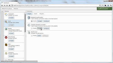 NextCMS: Inserting Google Analytics tracking code