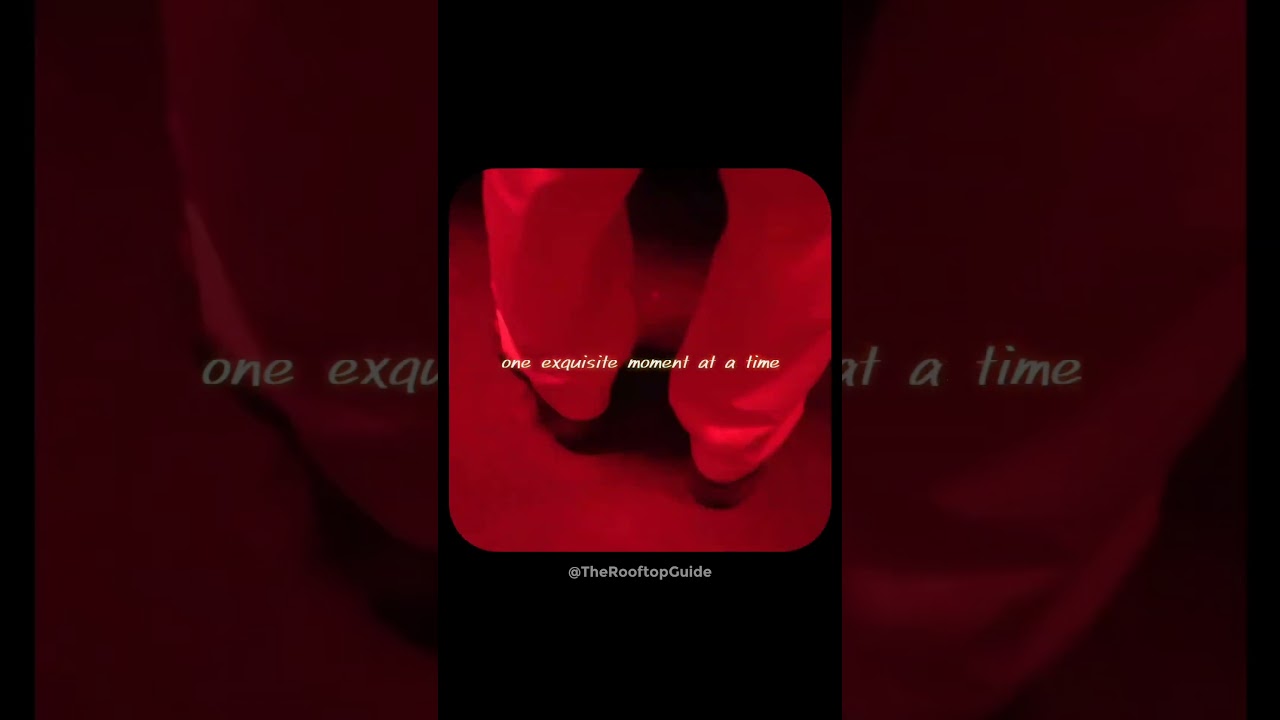 Sky-high rock and roll. 🤘🍻