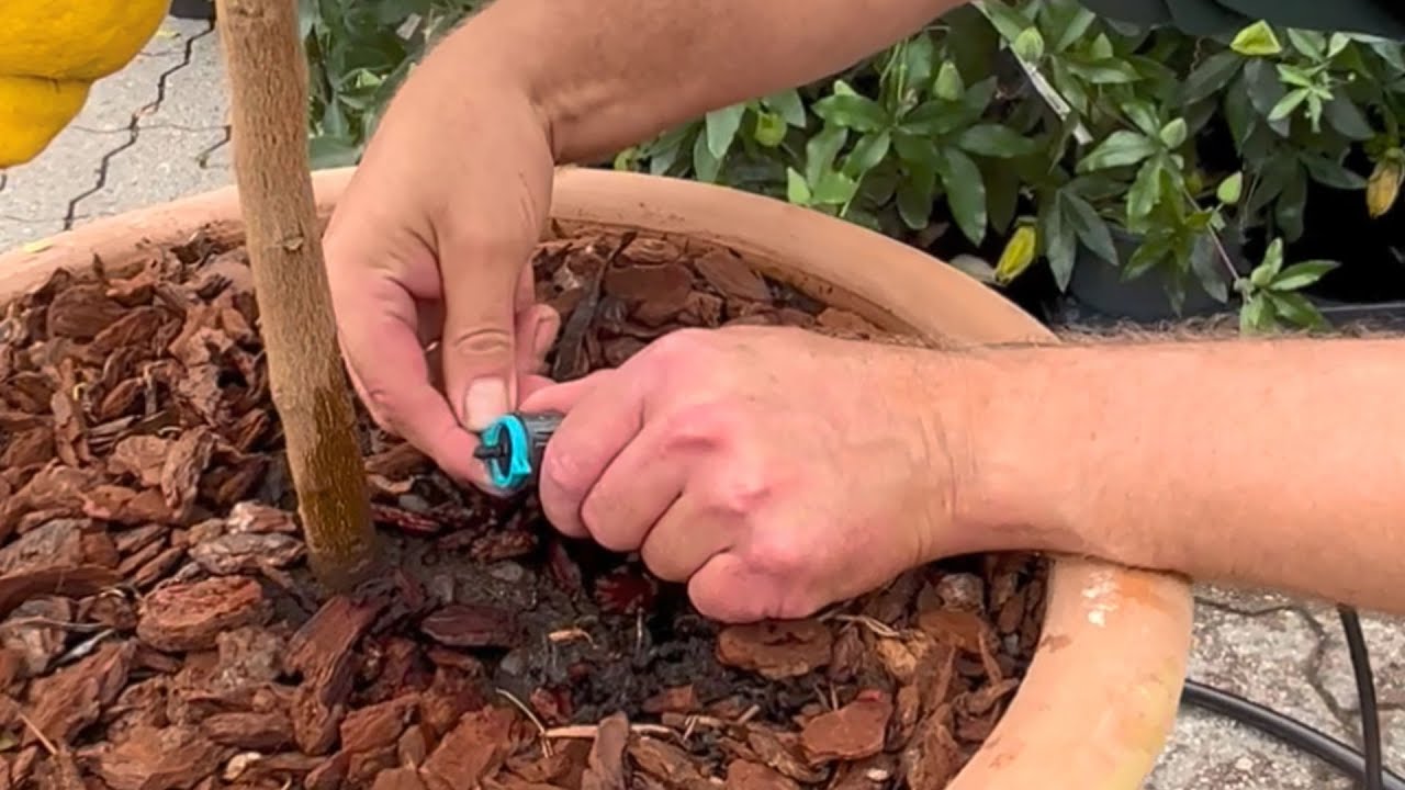 Sådan installerer du et automatisk vandingssystem