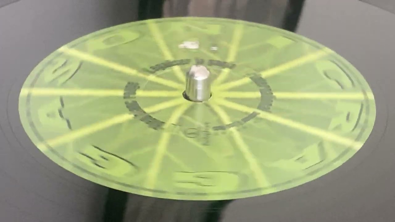 RAGGASONIC ft DESMOND FOSTER & LEAF NUTS ~ International