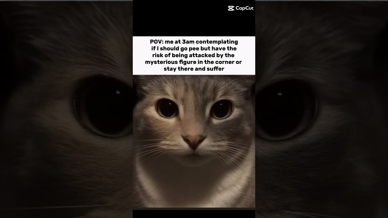 Walking to the bathroom at 3 AM, whispering please be empty, but the monster in my head disagrees 🫠