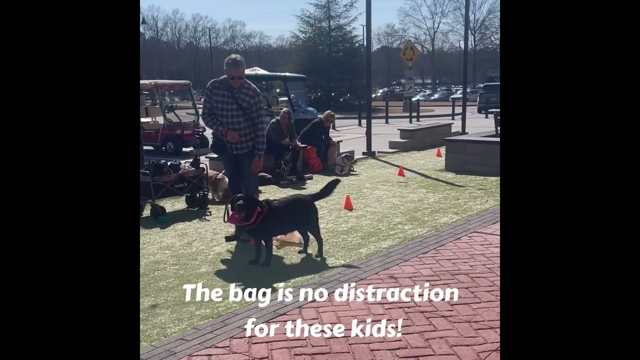 Hounds Around Town 2-13-26