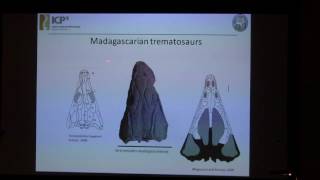 A NEW APHANERAMMA (TEMNOSPONDYLI, TREMATOSAURIDAE) IN THE EARLY TRIASSIC OF MADAGASCAR