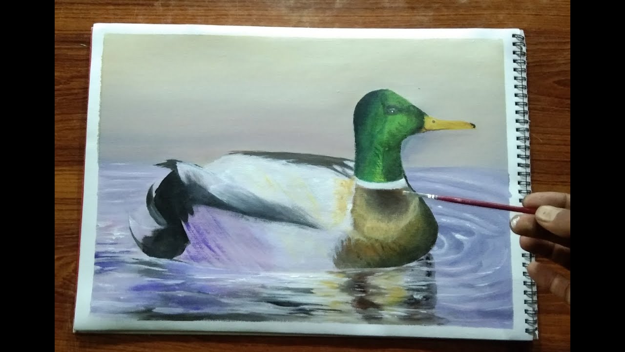 colored duck canvas