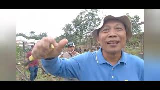 Part I Budidaya Anggur, Woody Park Borneo km 28 Bpn - Smd