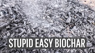 How To Make Biochar Stupid Easy
