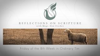 PRI Reflections on Scripture | Friday of the 8th Week in Ordinary Time
