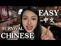 生存中文|一条视频讲完如何在中国商场点餐?简单中文的可理解性输入