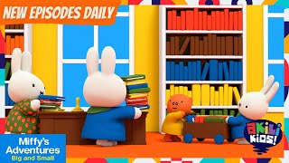 Miffy's Adventures Big And Small | Can I Be A Librarian? | Akili Kids!