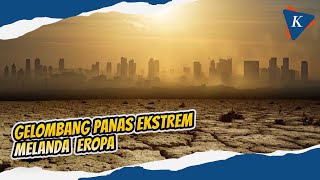 Gelombang Panas Sebabkan Ribuan Kematian di Eropa, Kok Bisa?