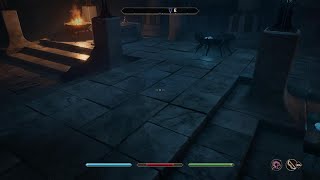 The Elder Scrolls IV: Oblivion Remastered weapon test