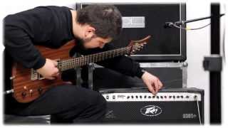 DL 2x12 Standard   Peavey 6505+:: Demo (tone range)