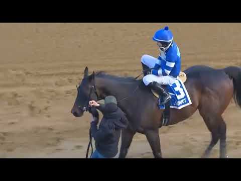 Aqueduct Horse Racing