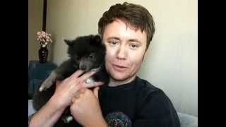 New Nat Geo Tv Doentary American Transgender