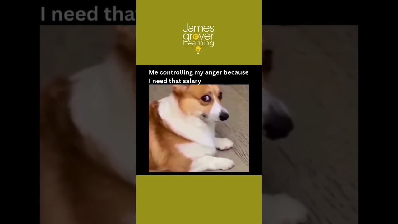 Me controlling my anger at work 😤➡️😌