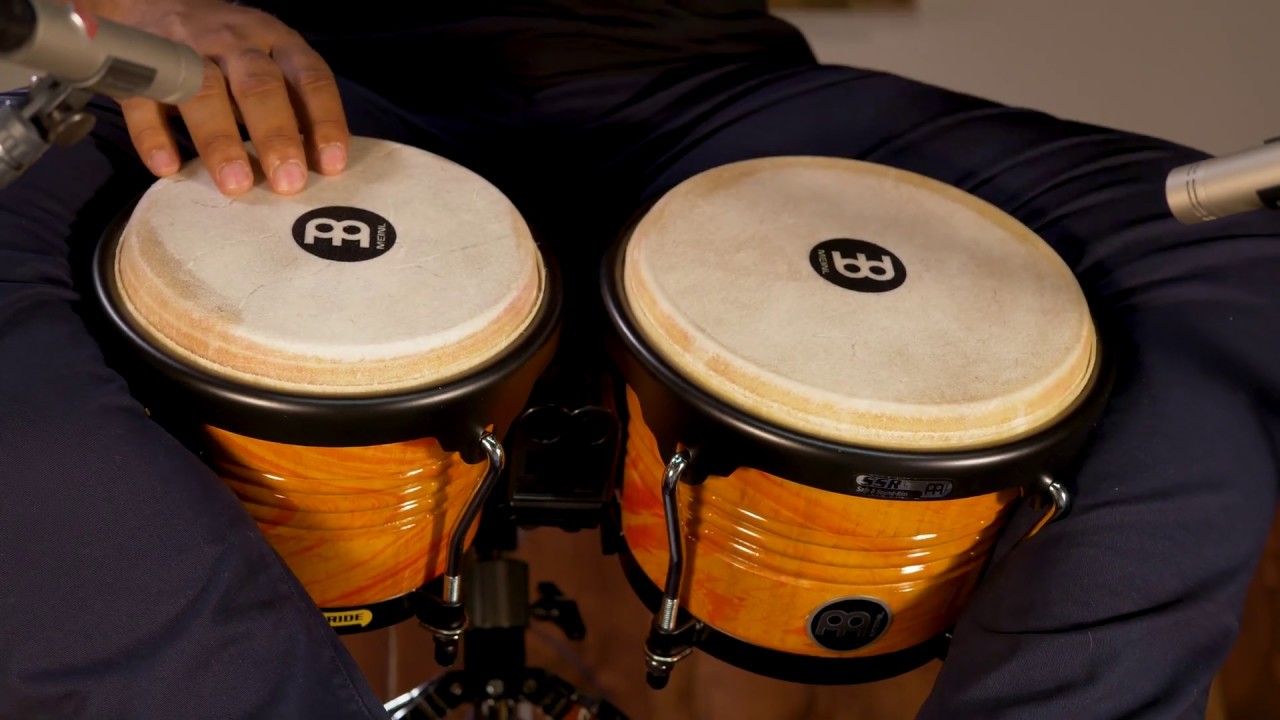 MEINL Percussion Latin Styles on Bongos FWB190AF YouTube