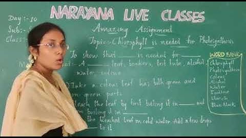 7b  AP & TS CLASS IV SCIENCE ASSIGNMENT VIDEO DAY 10