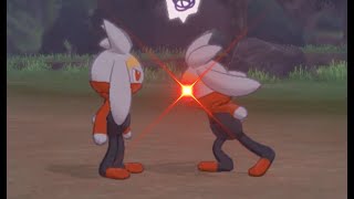 Pokemon Camp But Its All Raboot