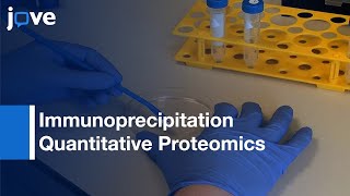 Identification: Protein Interaction Partners In Mammalian Cells By SILAC l Protocol Preview
