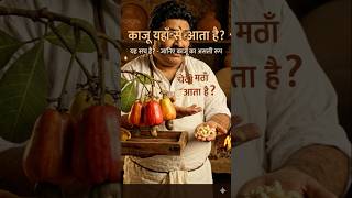 काजू का काला सच: क्यों इसे छीलना है सबसे खतरनाक काम?" #shorts #kaju #nuts @black_truth_tv