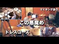 【叩いてみた】この悪魔め / ドレスコーズ
