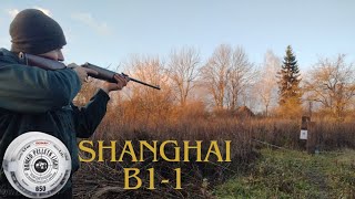 Shanghai B1-1 стоячи з рук на 10 метрів