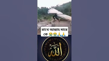 রাখে আল্লাহ মারে কে 😭😭🙏🙏 #عبدالرحمن_مسعد_تلاوة_جديدة #عبدالرحمن_مسعد #allah