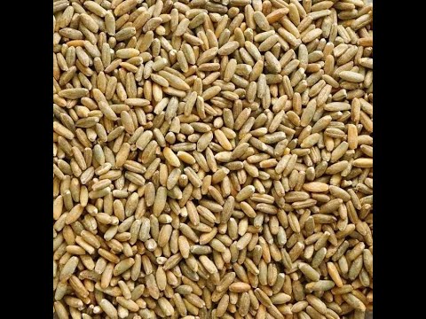 adam-sikorski-agrobiznes-14062023rgodzina-1210