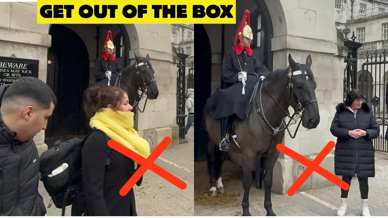 Hero Guard Shouts at Ignorant Tourists 🤣 They Won’t Forget This 