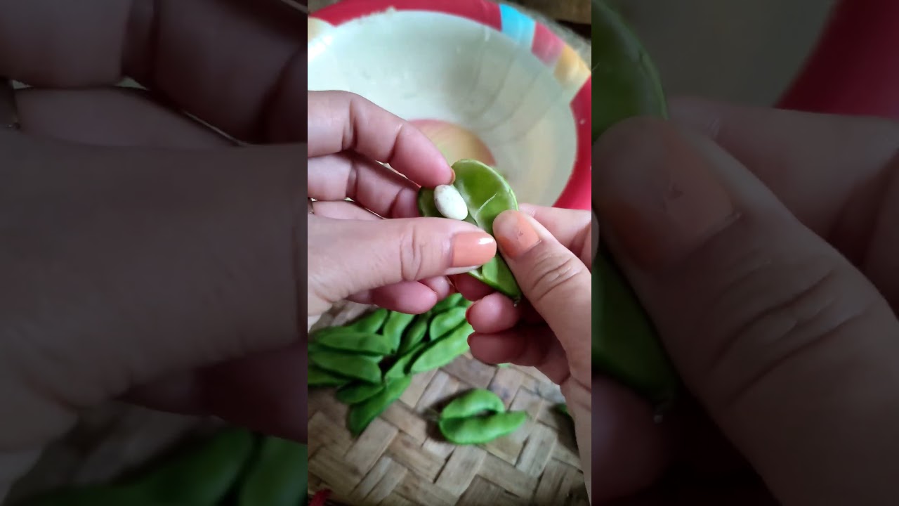 shelling beans