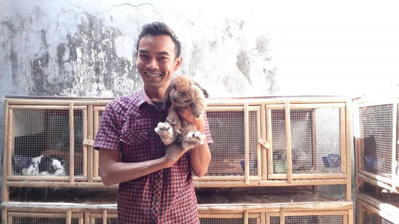 My Business by Gasa Taufik Ridla