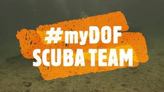 SCUBA Diving Activity for myKP BNO