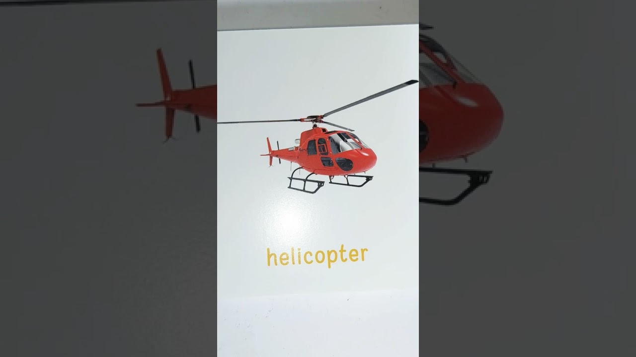 transport name with spelling 