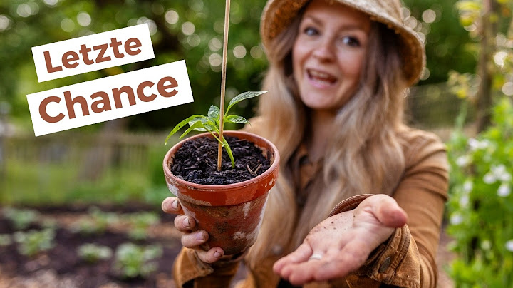 🥕 19 Gemüse, die du im Juni noch anbauen kannst