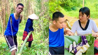 Building a bamboo house, two disabled sisters cook rice using bamboo pipes #survival #bamboohouse